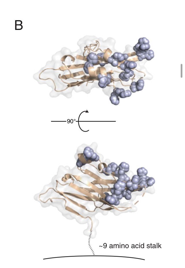 image-20230412155539579